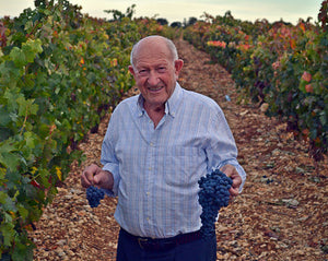 Alejandro Fernández, historia del vino.